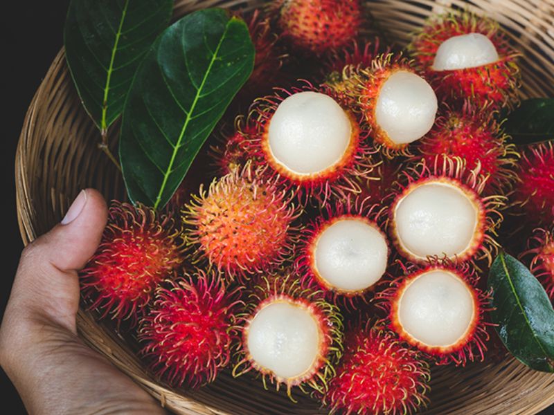 7 Manfaat Rambutan Bagi Kecantikan dan Kesehatan Ini Sering Tak