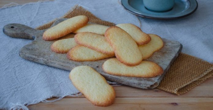  Resep  Membuat Kue Lidah  Kucing  Keju yang Enak Cocok untuk 