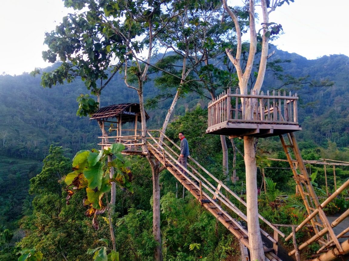 4 Objek Wisata Hutan Bambu Di Indonesia Ini Tak Kalah Cantik Dari ...