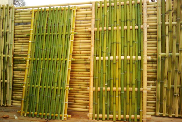 Hendak Hadirkan Ornamen  Bambu  sebagai Dekorasi Begini 